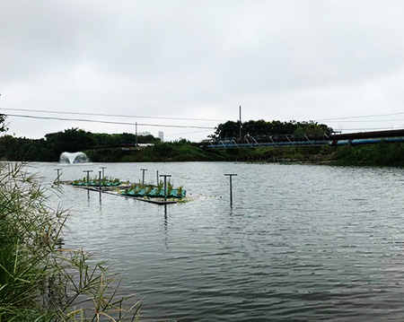 黑偉黑偉沉水式風(fēng)機(jī)使用方便噪音小！